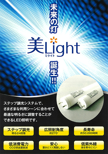 美Light