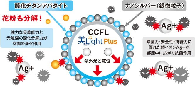 美Light Plusイメージ